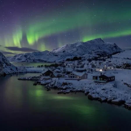 Nappsholmen Seaview - Northern Lights Lofoten *