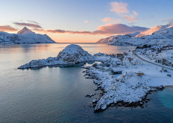 New Northern Light *
