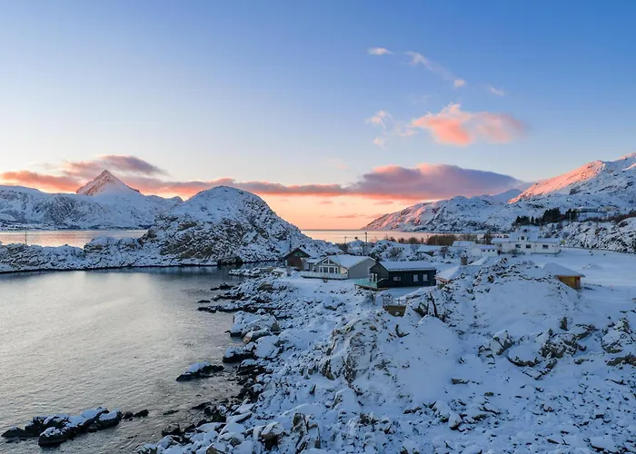 New Northern Light * Napp