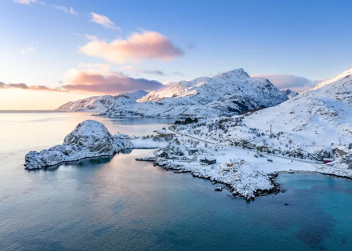 New Northern Light * Napp